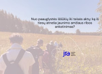 news thumbnail